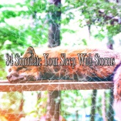 Rain Sounds Nature Collection - 34 Stimulate Your Sleep with Storms