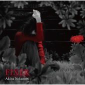 Akina Nakamori - Fixer -While The Women Are Sleeping-