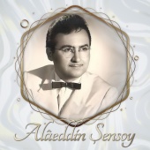 Alaaddin Şensoy - Aşk Bu Değil Yapma Güzel