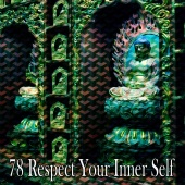 Outside Broadcast Recordings - 78 Respect Your Inner Self