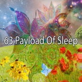 Sounds of Nature Relaxation - 63 Payload of Sleep