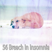 Sounds Of Nature - 56 Breach in Insomnia
