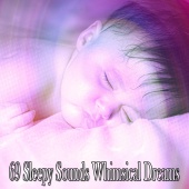 Sounds Of Nature - 69 Sleepy Sounds Whimsical Dreams