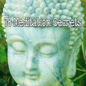 Meditation - 78 Meditation Secrets