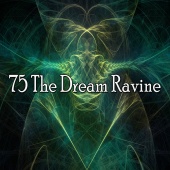 Sounds Of Nature - 75 The Dream Ravine