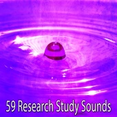 Meditation - 59 Research Study Sounds