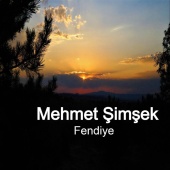 Mehmet Şimşek - Fendiye