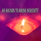 Meditation - 66 Sounds to Bring Serenity