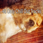 Sounds Of Nature - 48 Only Chill out Tracks