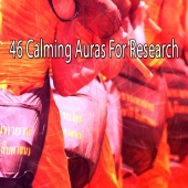 Massage Tribe - 46 Calming Auras for Research