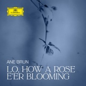 Ane Brun - Lo, How a Rose E'er Blooming