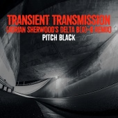 Pitch Black - Transient Transmission [Adrian Sherwood's Delta B(0)=B Remix]