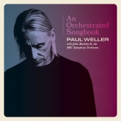 Paul Weller - English Rose