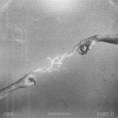 ZIDI - XY Pt. 2 (Proportions)