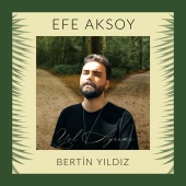 Efe Aksoy & Bertin Yıldız - Yol Ayrımı