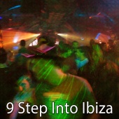 Workout Buddy - 9 Step Into Ibiza