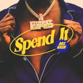 BRS Kash - Spend It