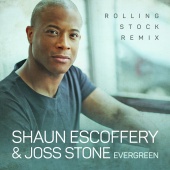 Shaun Escoffery - Evergreen [Rolling Stock Remix]