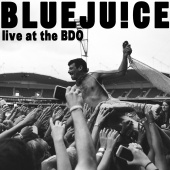 Bluejuice - Live At The Big Day Out 2014