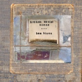 Broken Social Scene - Bee Hives