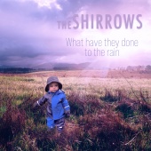 The Shirrows - What Have They Done To The Rain