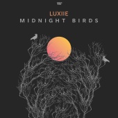 Luxiie - Midnight Birds