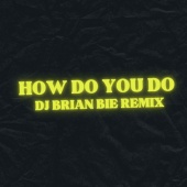 Boom - How Do You Do [Dj Brian Bie Remix]