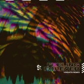 PLS&TY - Feeling Forever [Vindata Remix]