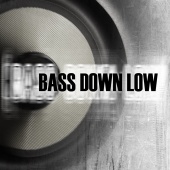 Cardio - Bass Down Low(in the style of Dev)