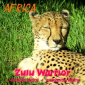 África - Zulu Warrior
