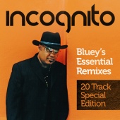 Incognito - Bluey's Essential Remixes [20 Track Special Edition]