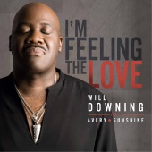 Will Downing - I'm Feeling The Love (feat. Avery*Sunshine)