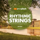 Bob Bradley - Rhythmic Strings