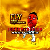Fly - Iskhamtharico (feat. Benzy, Mshekesheke, TyraQeed)
