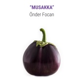 Önder Focan - MUSAKKA (feat. Enver Muhamedi, Burak Cihangirli, Anıl Şallıel, Uraz Kıvaner)