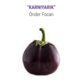 Önder Focan - KARNIYARIK (feat. Enver Muhamedi, Burak Cihangirli, Burak Dursun, Uraz Kıvaner)
