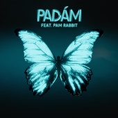 Slza - Padám (feat. Pam Rabbit)
