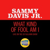 Sammy Davis Jr. - What Kind Of Fool Am I [Live On The Ed Sullivan Show, June 14, 1964]