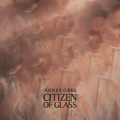 Agnes Obel - Citizen of Glass [Instrumental]