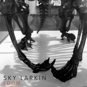 Sky Larkin - Loom