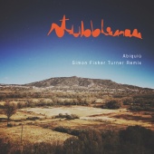 Stubbleman - Abiquiú [Simon Fisher Turner Remix]