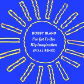 Bobby Bland - I've Got To Use My Imagination [Pixal Remix]