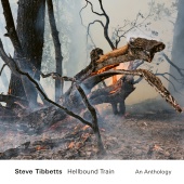 Steve Tibbetts - Vision [2022 Remaster]