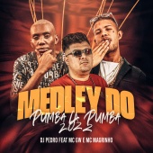 DJ Pedro - Medley do Pumba Lá Pumba 2022 (feat. Mc GW, Mc Magrinho)