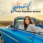 Gönül Dilan - Pınar Başından Bulanır