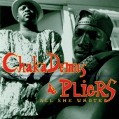 Chaka Demus & Pliers - All She Wrote