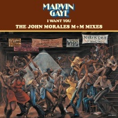 Marvin Gaye - I Want You: The John Morales M+M Mixes