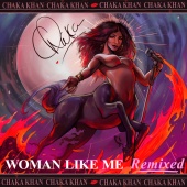 Chaka Khan - Woman Like Me [Terry Hunter Remix]
