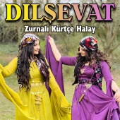 Dılşevat - Zurnalı Kürtçe Halay