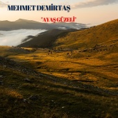 Mehmet Demirtaş - Ayaş Güzeli